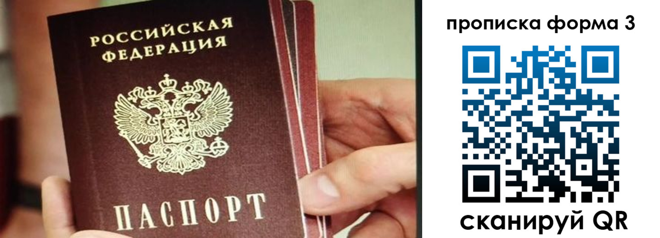 прописка законно в Шадринске